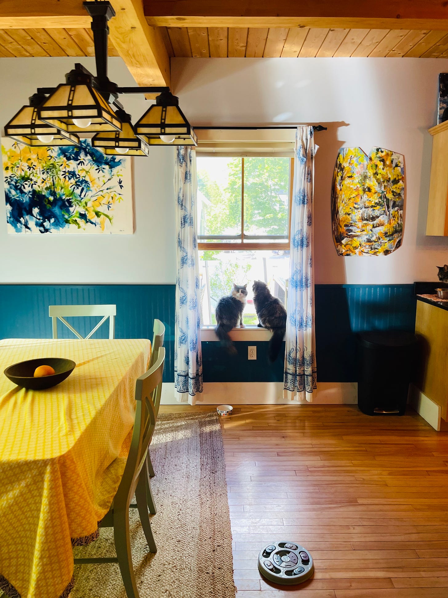 dining room scene, two cats in a window, one looking outside and one looking in