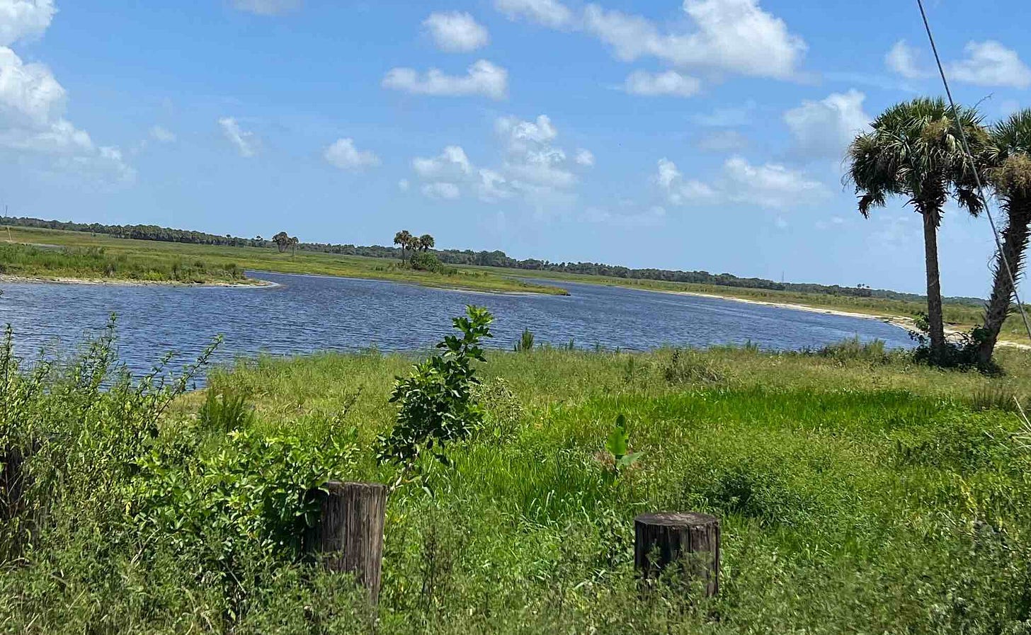 A photo of a bend in the St. John's river. Along the shore are a few tropical trees.