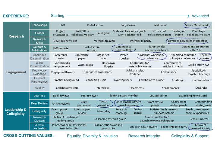 Example of how the Research Careers Tool can be completed for an advanced career researcher