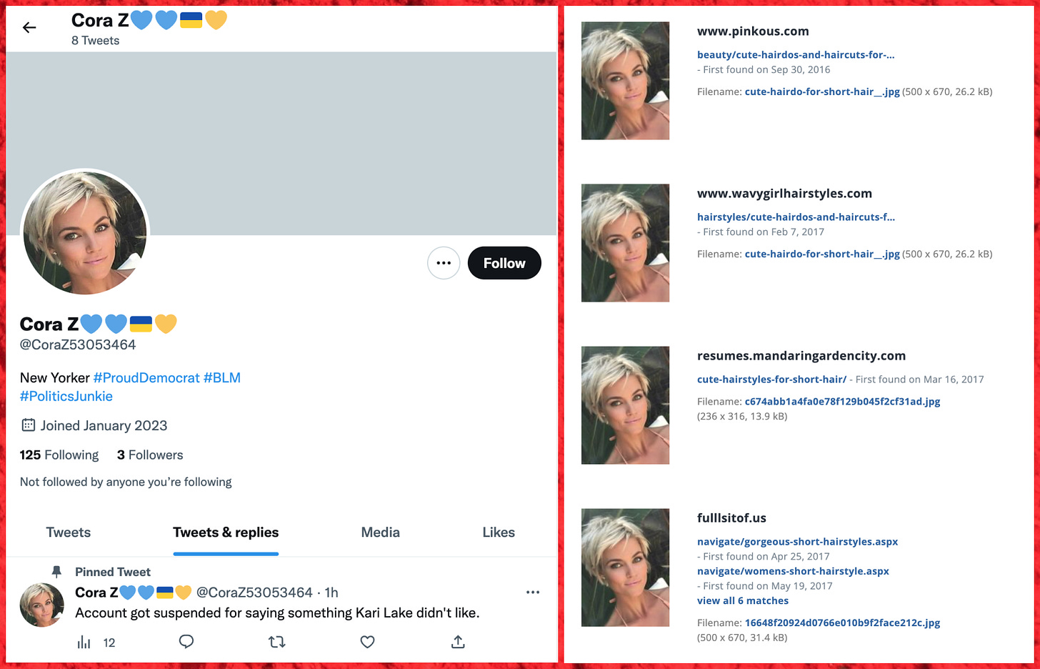 screenshot of @CoraZ53053464's profile shortly after creation, and a reverse image search showing that the profile photo is stolen