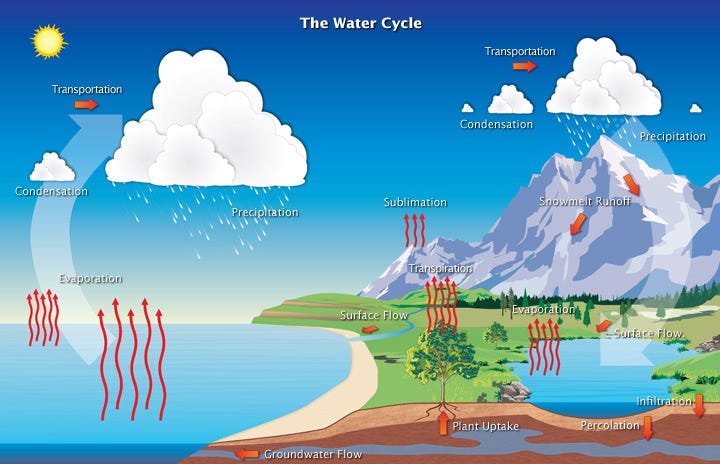 The water cycle (article) | Ecology | Khan Academy