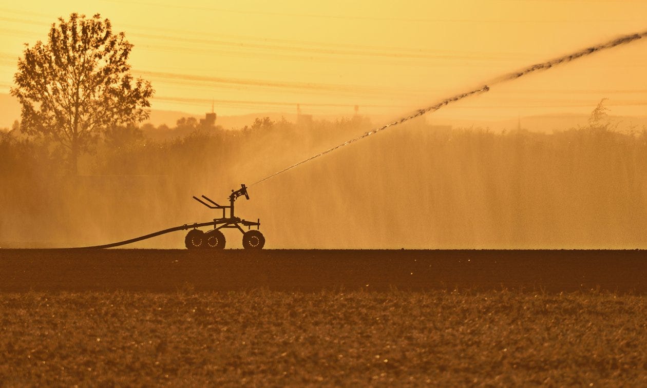 L'irrigation des champs devient de plus en plus souvent indispensable. (© picture alliance / Daniel Kubirski)