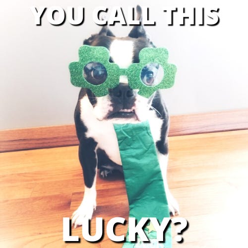 Luck 'o the Irish