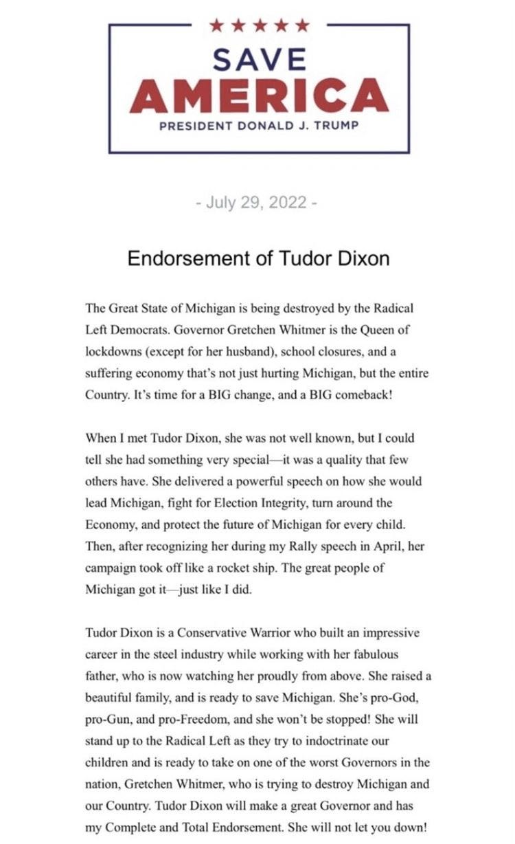 Tudor Dixon Receives Trumps Endorsement