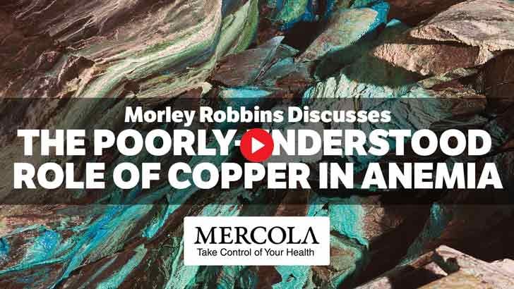 Morley Robbins copper supplement