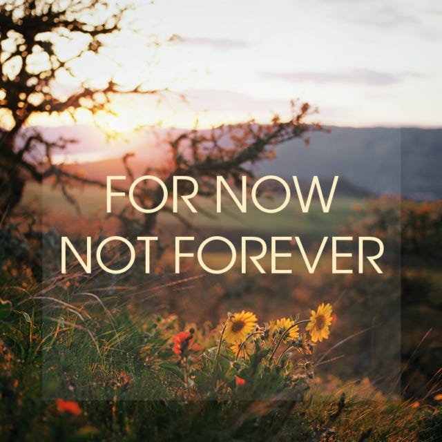 Flowers and trees at sunset with the words: For Now Not Forever superimposed on the image.