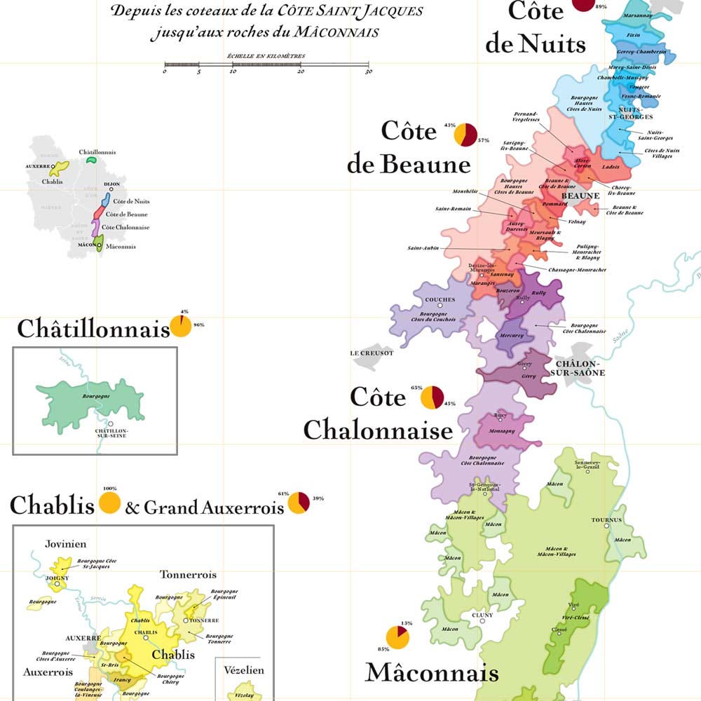 Carte des Vins de Bourgogne - Affiche 50 x 70 cm – La Carte des Vins s'il  vous plaît