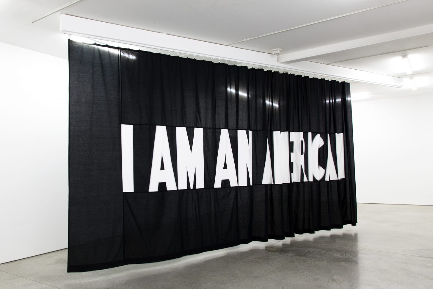 "I AM AN...", artwork by Stephanie Syjuco