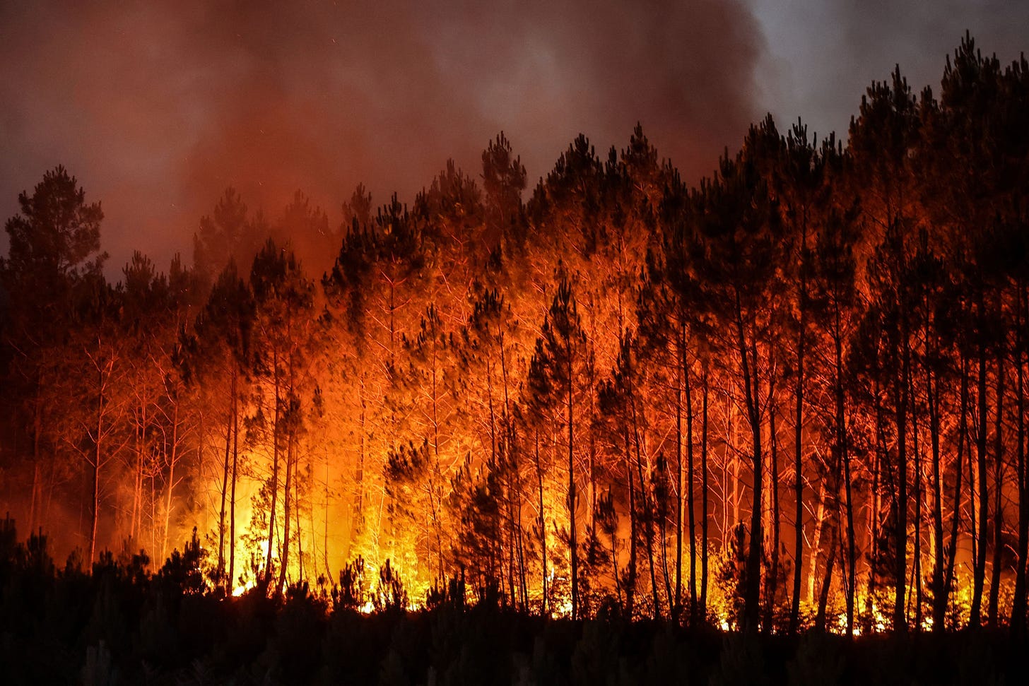 Photos: Wildfires Rage Across Southwestern Europe - The Atlantic