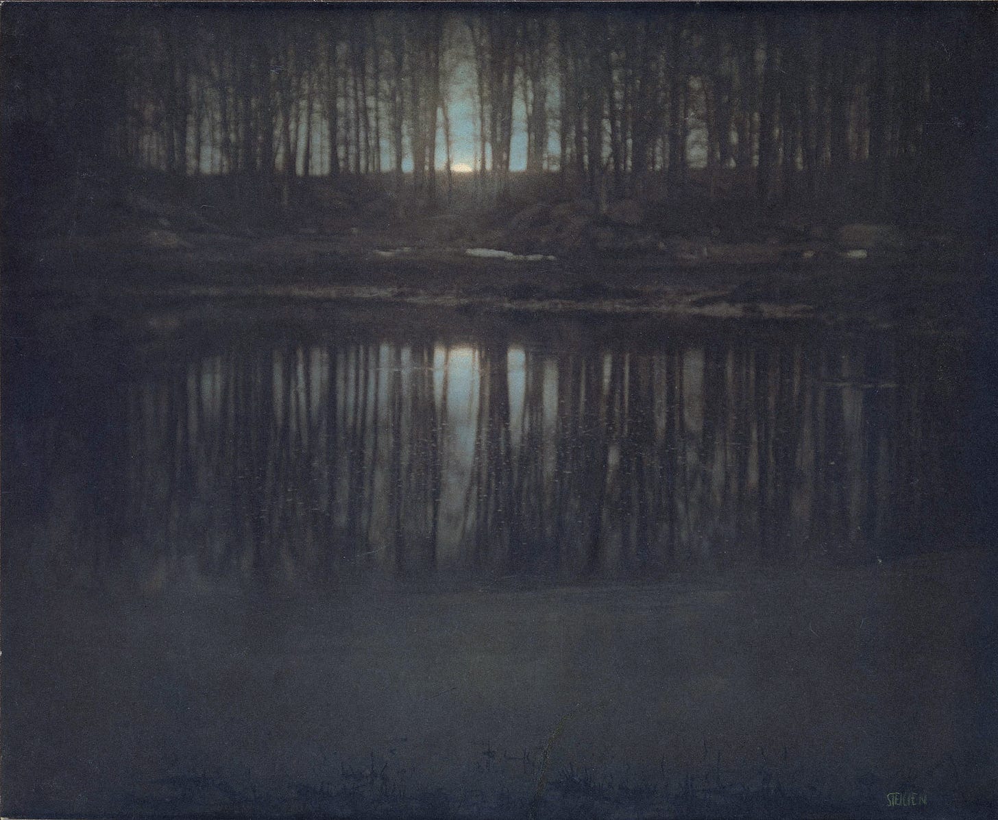 A moonlight pond surrounded by trees.