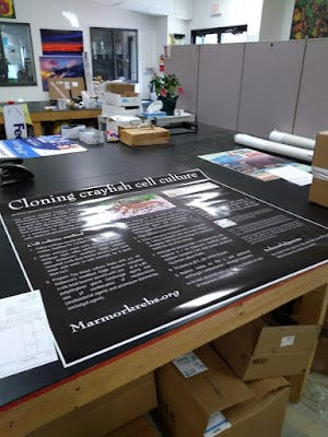 Poster laying on table