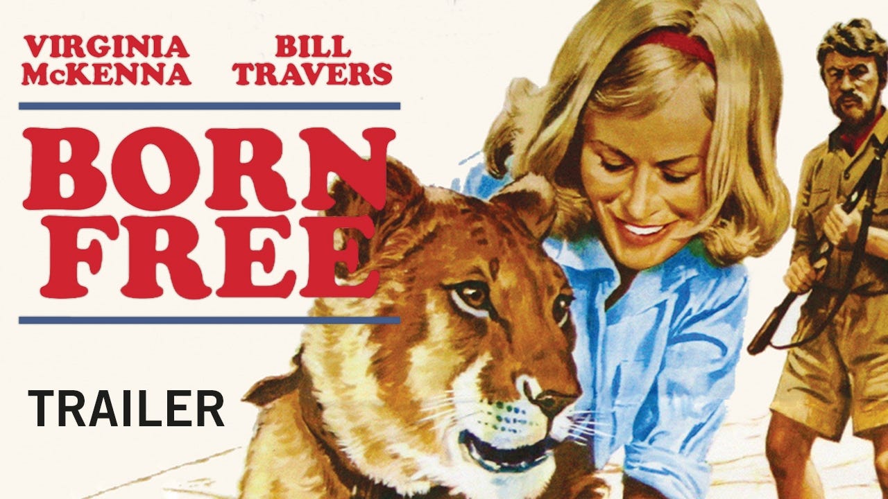 BORN FREE (New and Exclusive) Trailer - YouTube