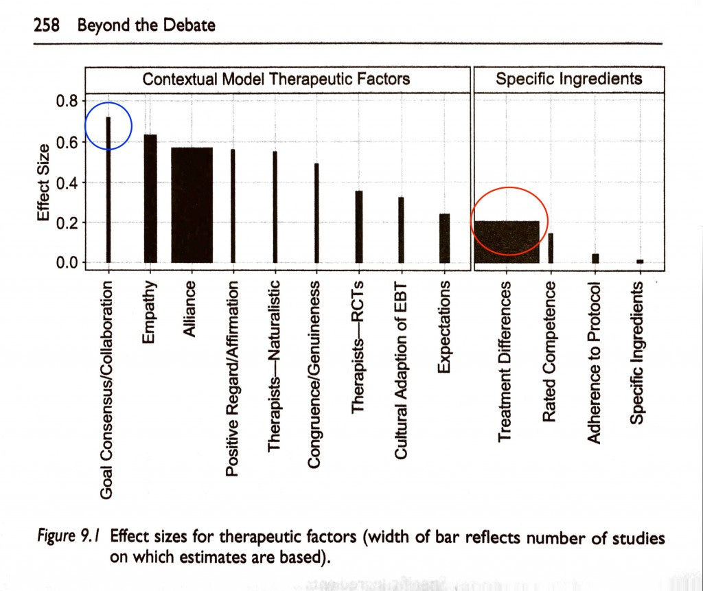 Effect sizes for therapeutic factors (width of bars reflect number of studies on which estimates are based) annotated