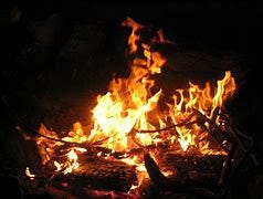 Image result for campfire  pics