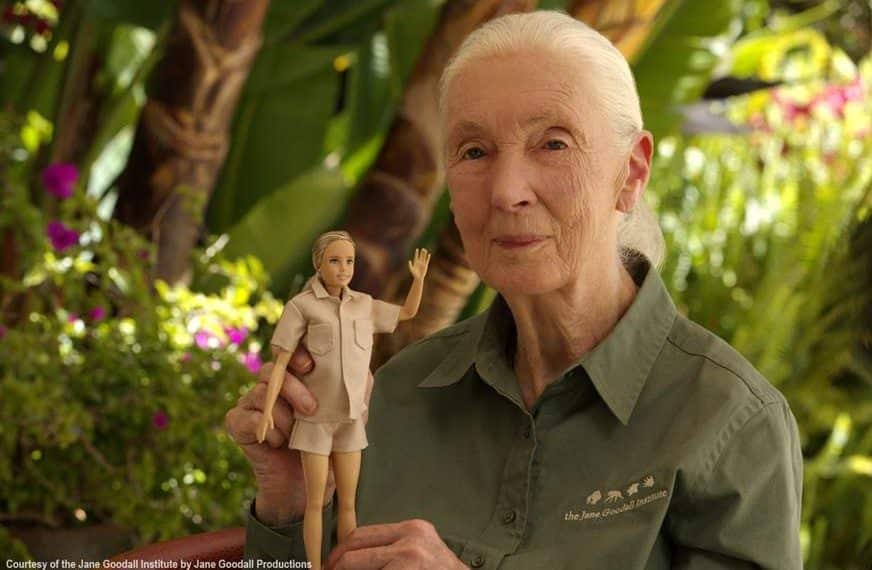 The Future of Pink is Green: una Barbie in plastica riciclata omaggia Jane  Goodall - Luce
