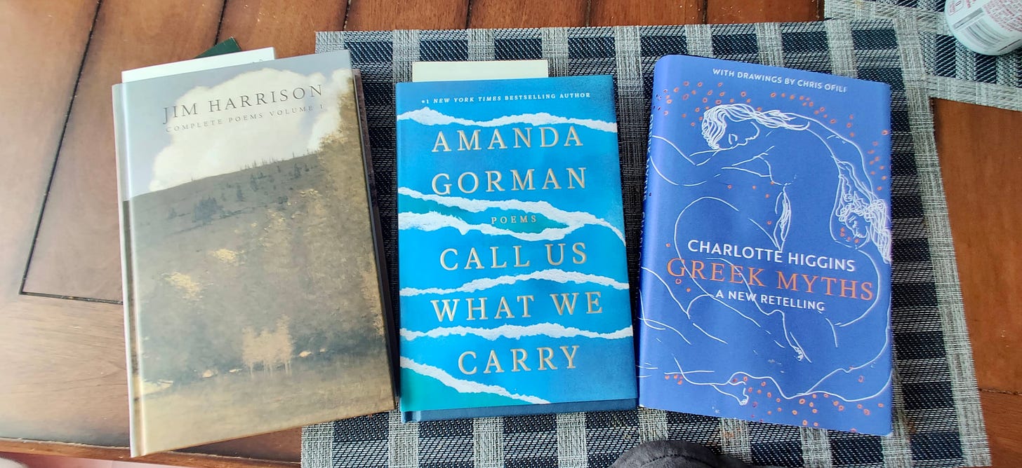 The three books listed directly afterward. Two are bright blue! 