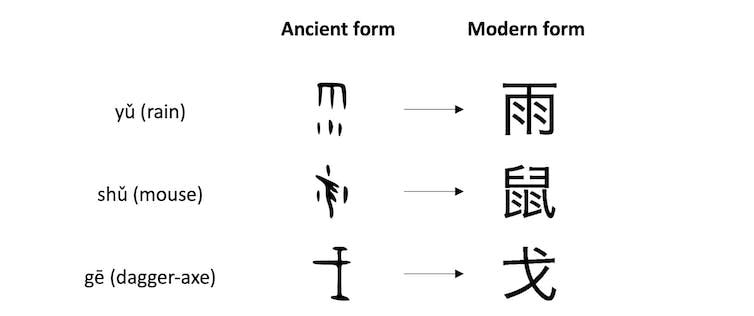 Chinese characters for rain, mouse, and dagger-axe have become more complex over time