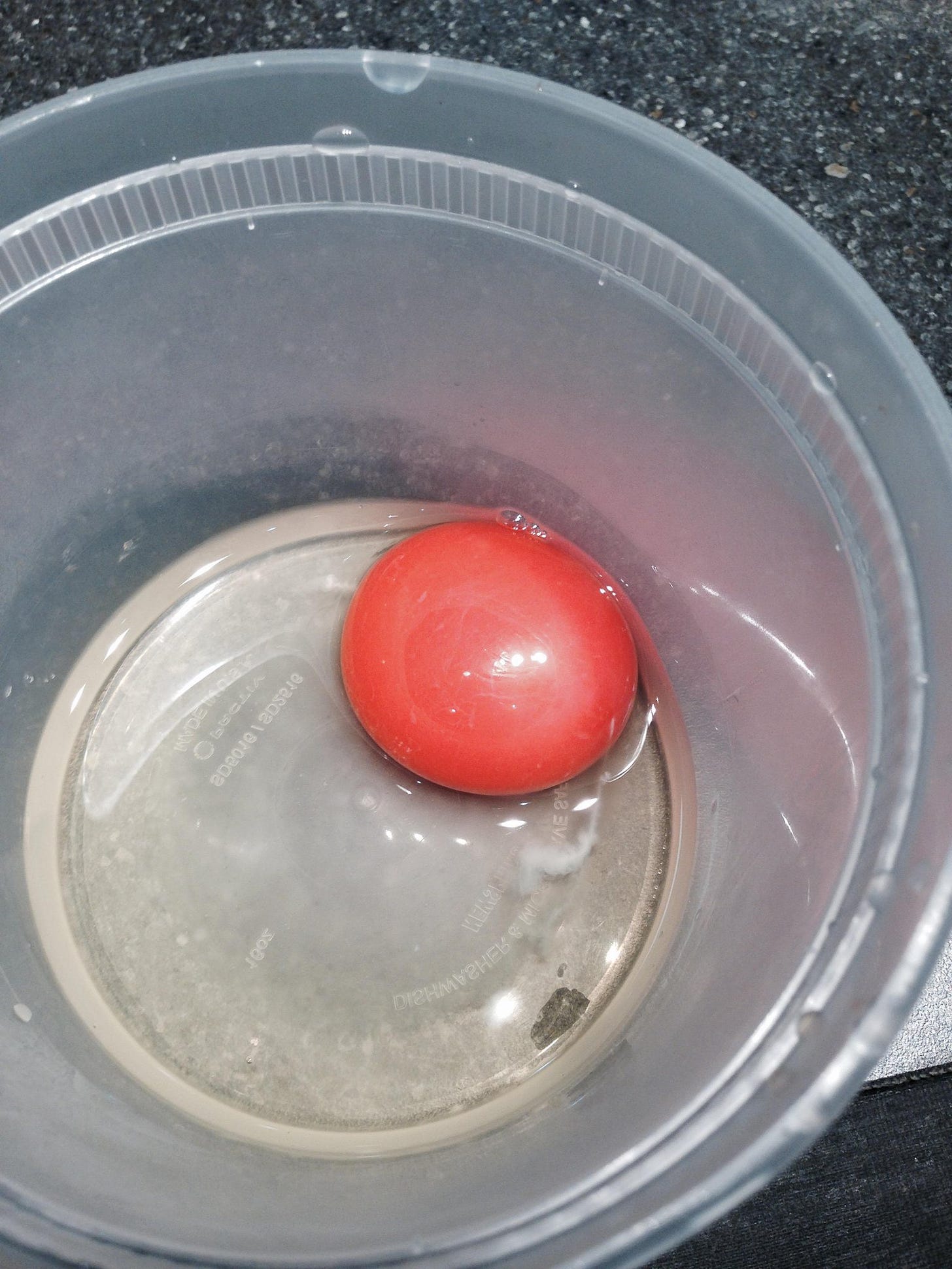 Dan Barber on Twitter: &quot;a “red pepper egg” from laying hens fed  high-carotenoid peppers (bred by Michael Mazourek) @bluehillfarm. #nofilter  http://t.co/qMaLjLKPBK&quot;