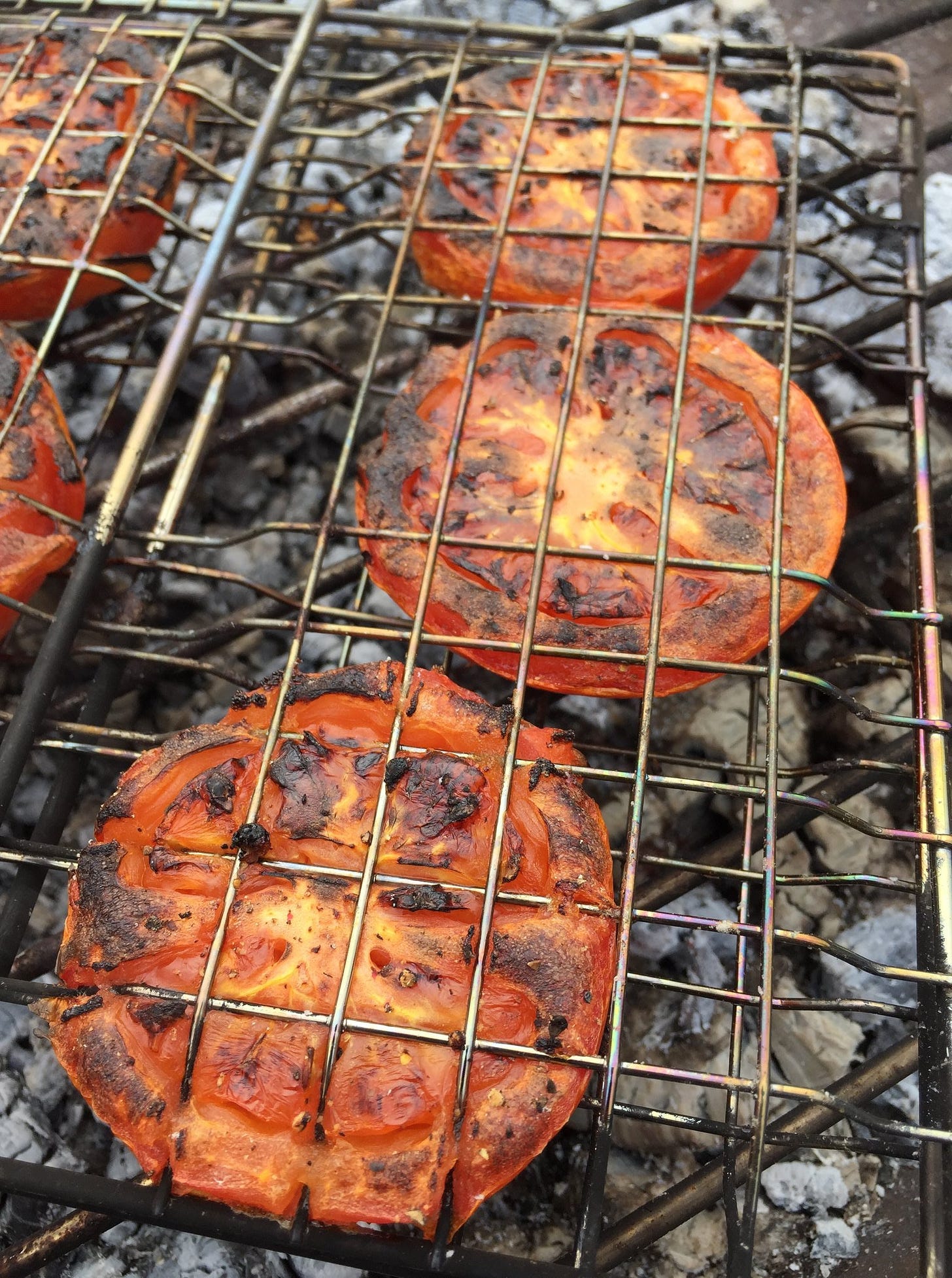 fire roasted tomatoes (ready for adding to the sauce)