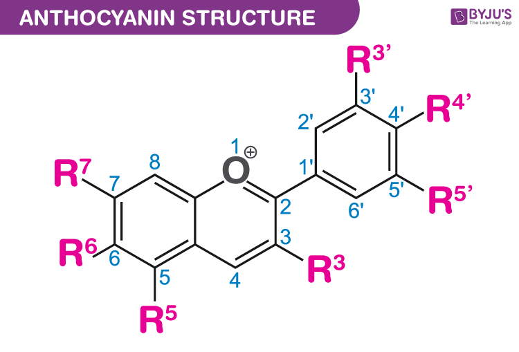 Anthocyanins - Structure, Molecular mass, Properties, Uses On BYJU'S.