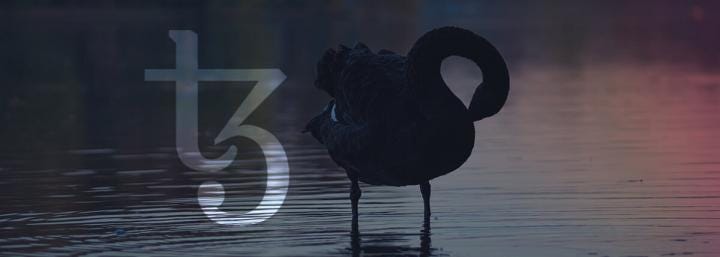 These fundamental flaws may be the black swan that stops Tezos from seeing massive growth