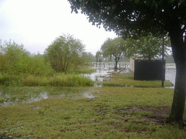 Overflow water from our pond.