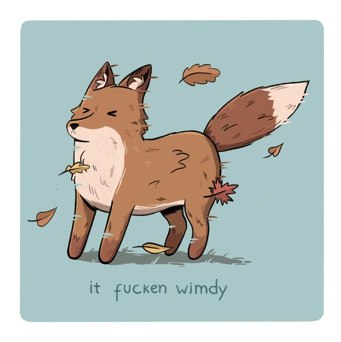 drawing of fox with closed eyes and leaves blowing past, reads 'it fucken wimdy'