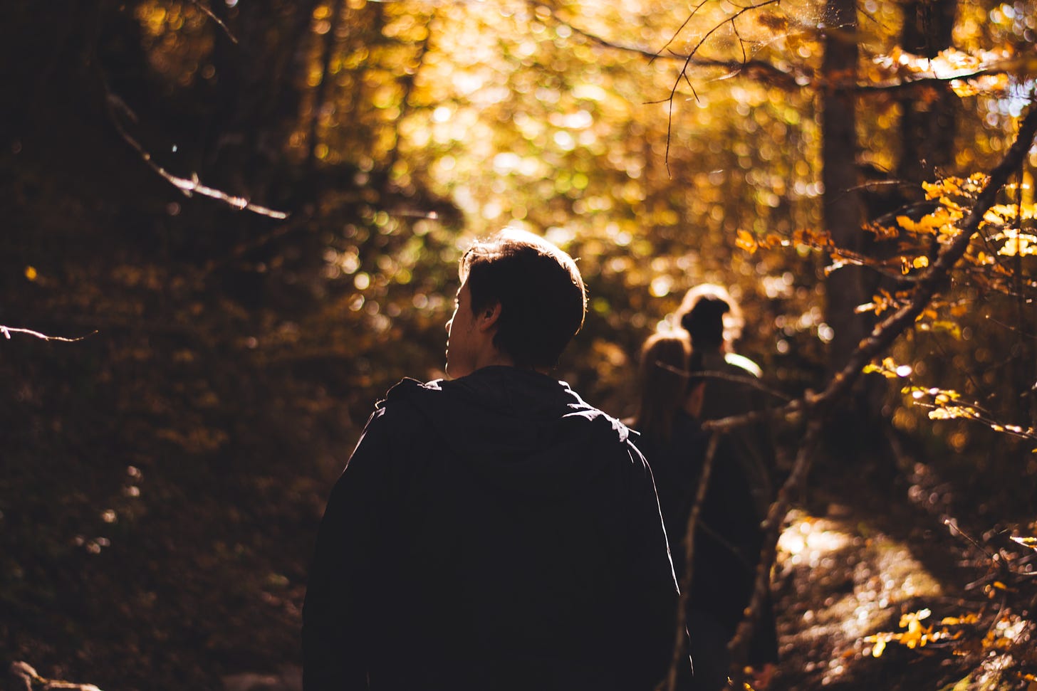 A woodland walk to connect with nature. Photo by Milos Tonchevski on Unsplash