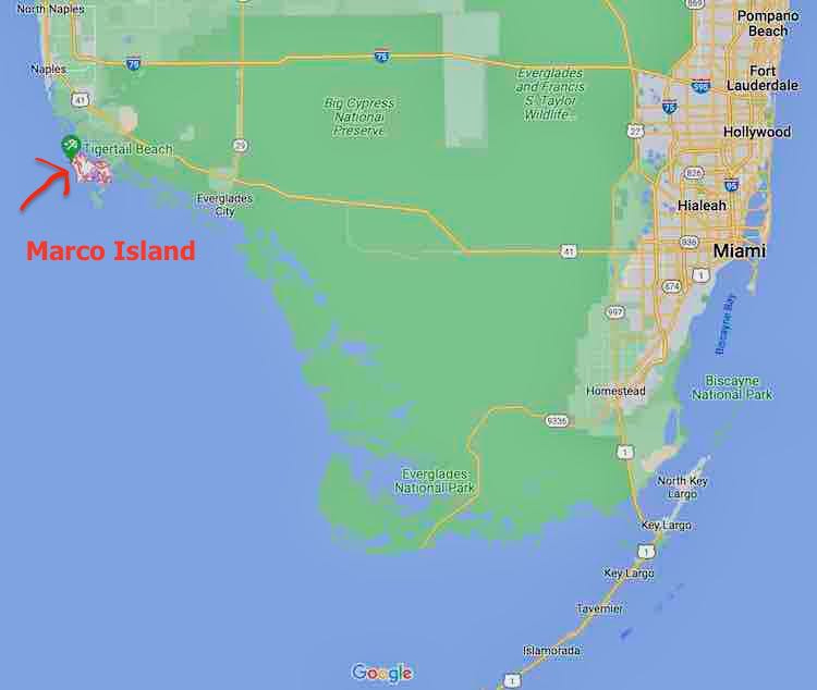 8 Great Things to Do in Marco Island • US Gulf Coast Travel
