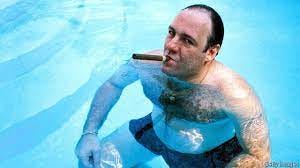 Where Tony Soprano really comes from | The Economist