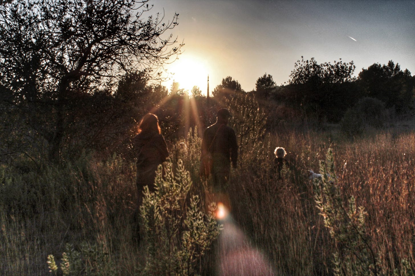 The silhoutte of a family walking through tall grass at sunset.