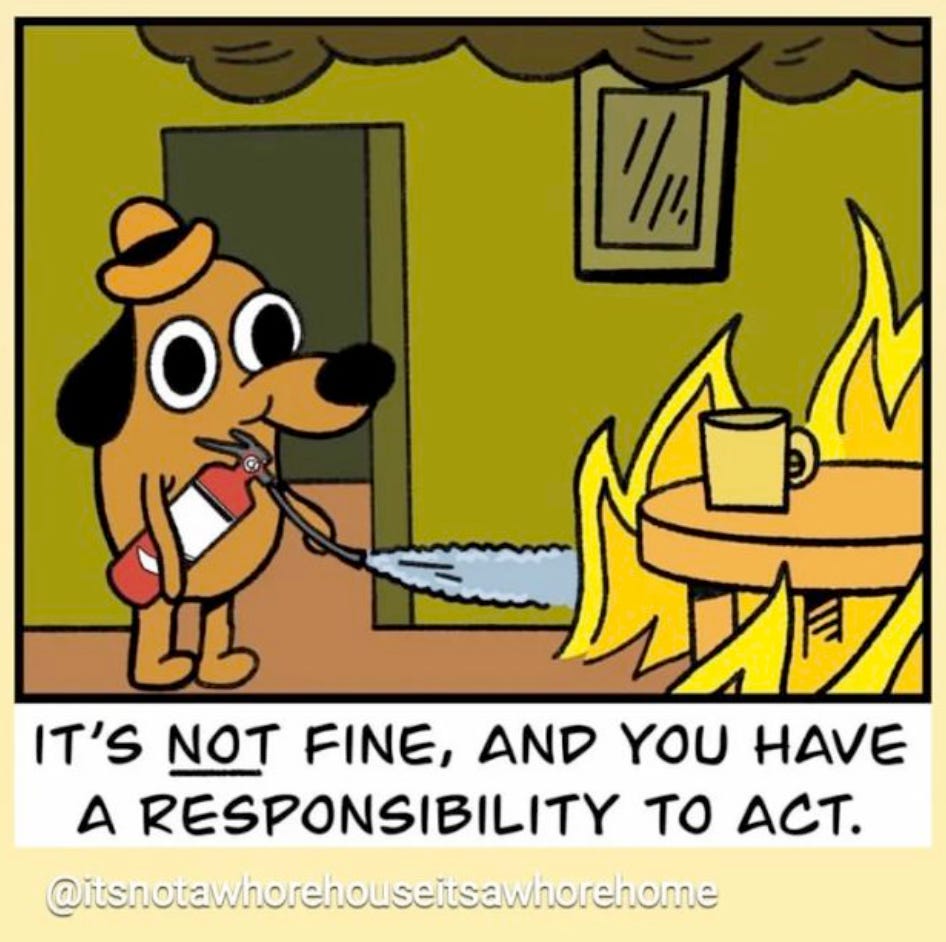 The this is not fine dog in the burning room except he’s not just sitting there, he has a fire extinguisher and he’s putting the fire out. The caption says it’s not fine and you have a responsibility to act.