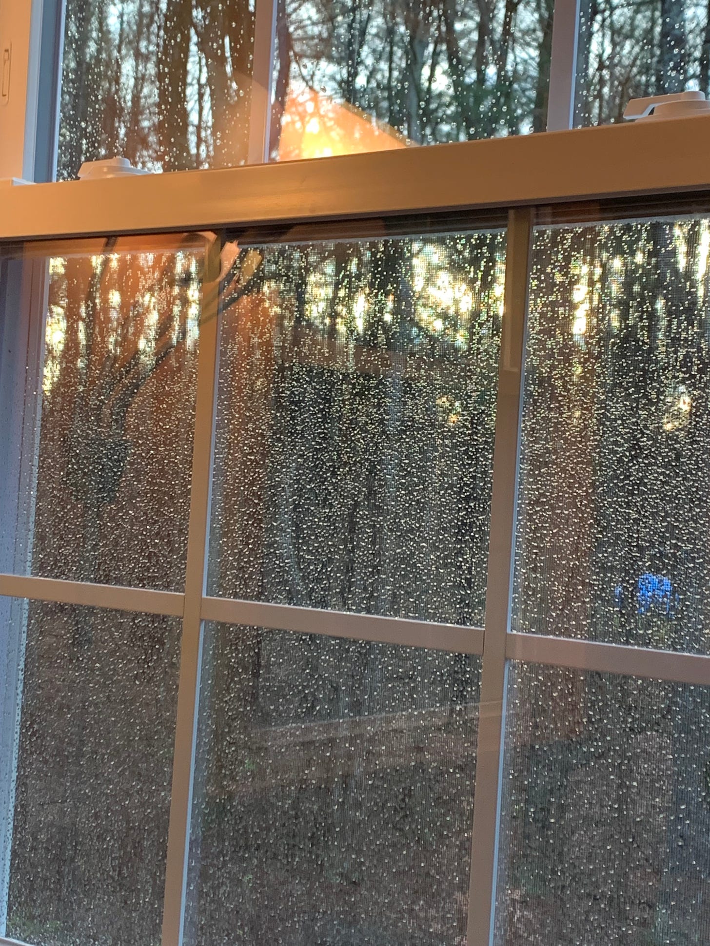 photo of a window with rain on it. Light is reflecting on the glass both from indoors and from the sunset outside.