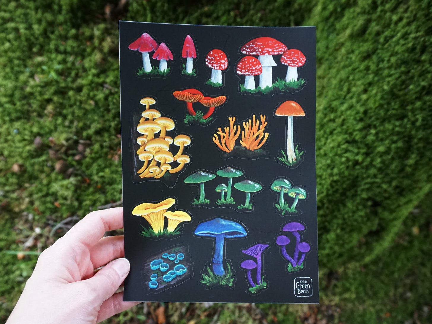 Image description: a black sticker sheet, this time showing a rainbow of delightful fungi.