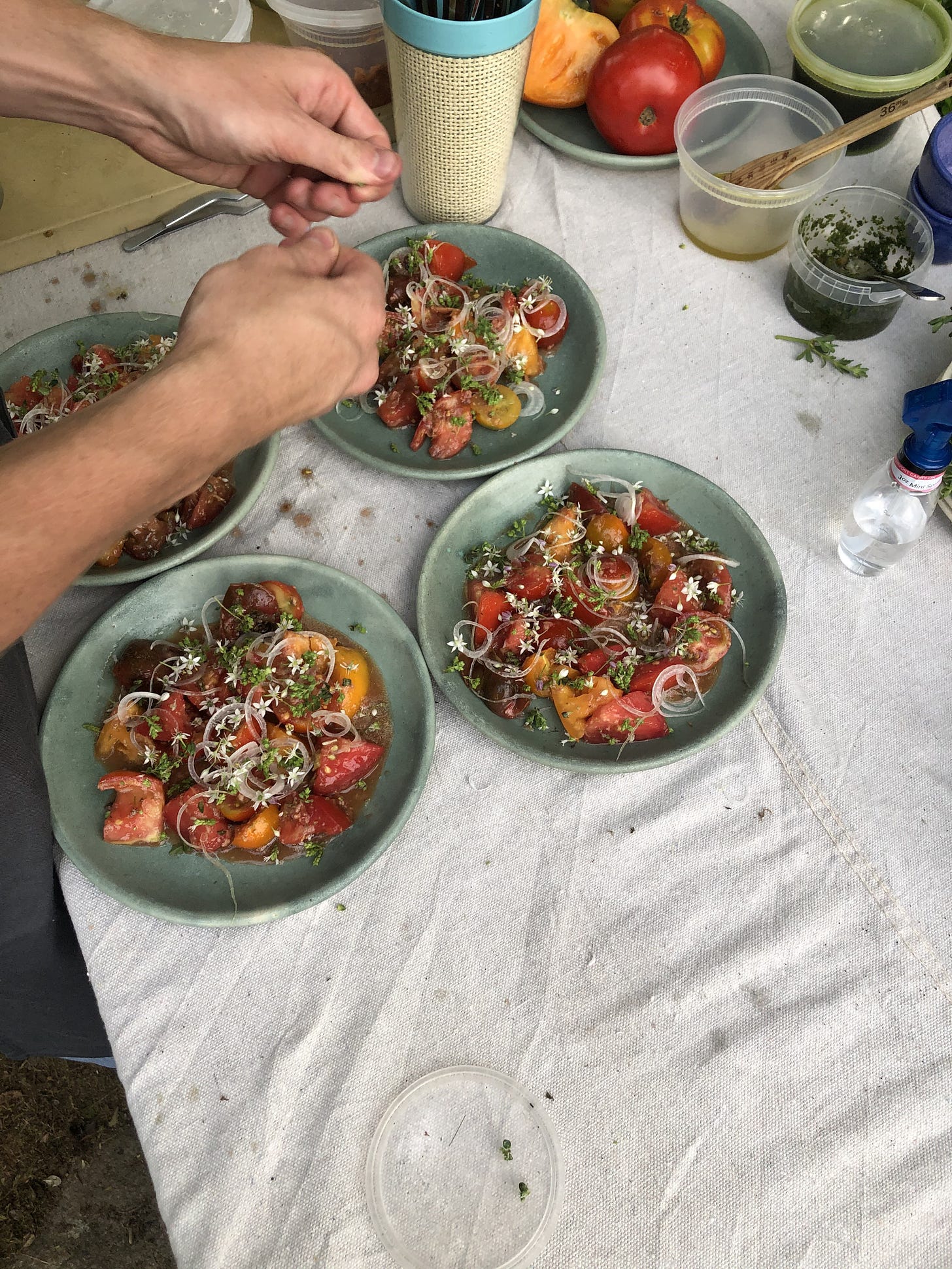 Tomato salad with flowering herbs