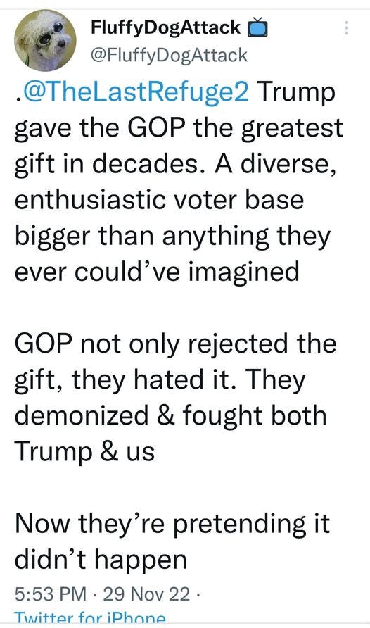May be an image of text that says 'FluffyDogAttack @FluffyDogAttack @TheLastRefuge2 Trump gave the GOP the greatest gift in decades. A diverse, enthusiastic voter base bigger than anything they ever could've imagined GOP not only rejected the gift, they hated it. They demonized & fought both Trump & us Now they're pretending it didn't happen 5:53 PM 29 Nov 22. Twitter for iPhone'