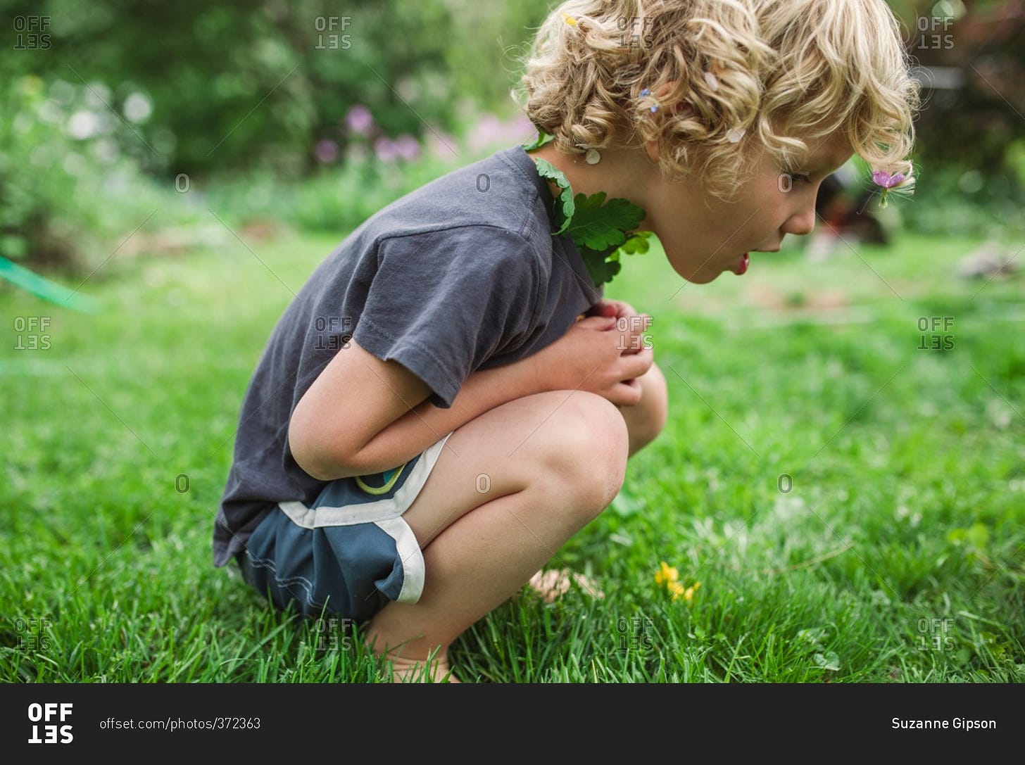 Boy squatting looking down at the grass stock photo - OFFSET