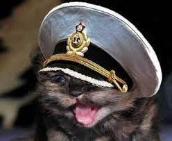 Captain Kitten - Cute Cats in Hats