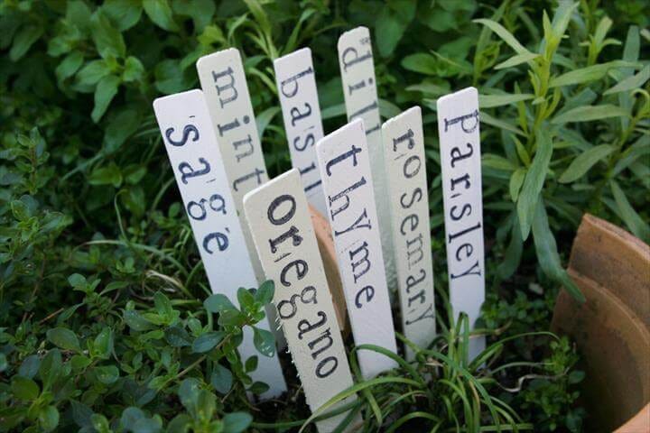 Plant Labels Every Grower Should Know - Garden &amp; Greenhouse