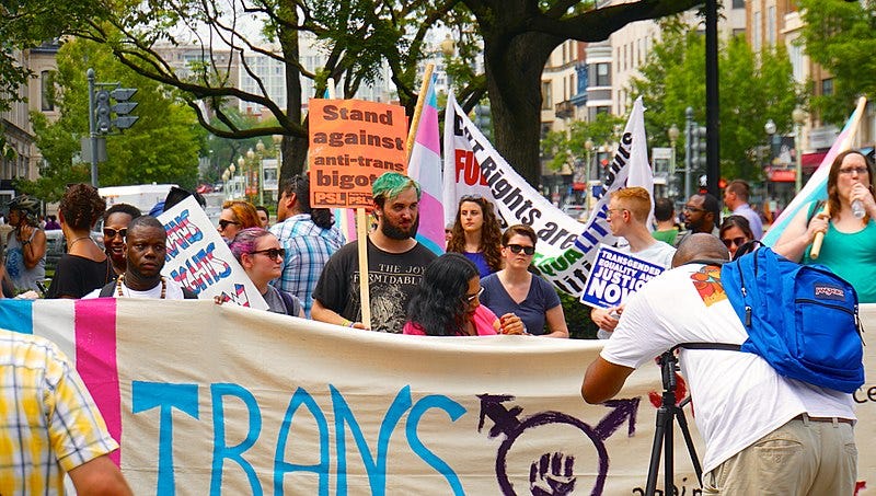 File:Trans Solidarity Rally and March 55433 (17609758399).jpg
