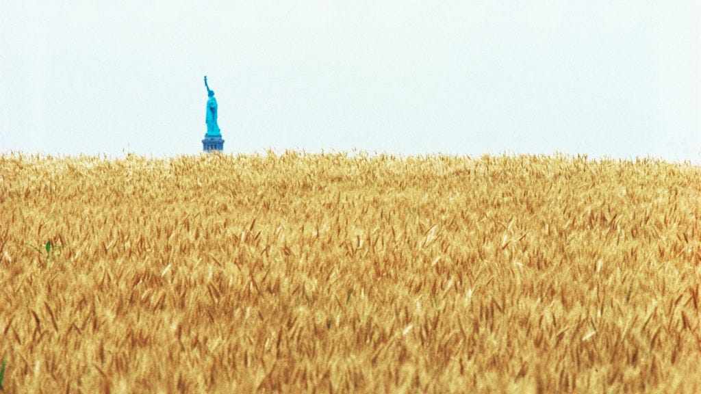 Nueva York tuvo un campo de trigo el verano del 82 | Traveler