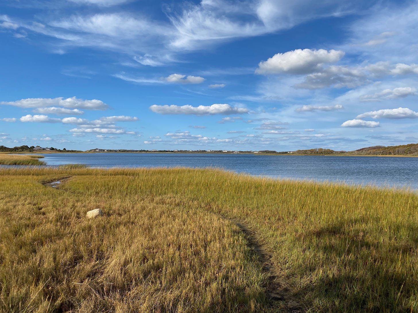View of a bright green salt marsh under a blue sky dotted with clouds.
