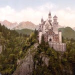 A Castle in the Jungle