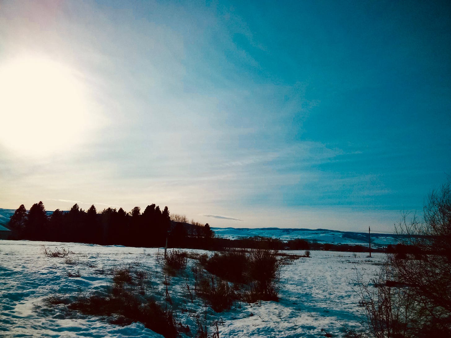 Snowy field against a blue sky