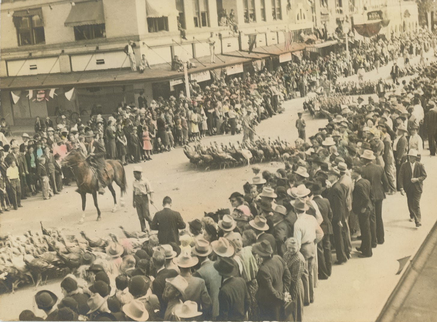 A sepia-tinted black-and-white photo of turkeys being herded down a street lined with spectators, many in cowboy hats. Some spectators are watching from on top of the awnings over the stores lining the street.