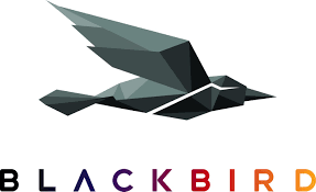 Change of name to Blackbird plc - Blackbird