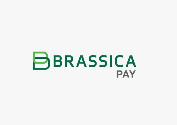 Brassica Pay Granted Payment Service Provider Licence By Bank Of Ghana - Tech Nova