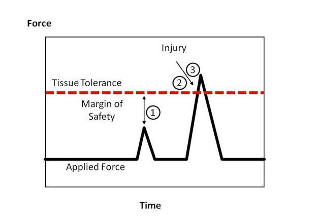 Workplace injury 101: How Do Muscles, Tendons, or Ligaments Get Injured ...