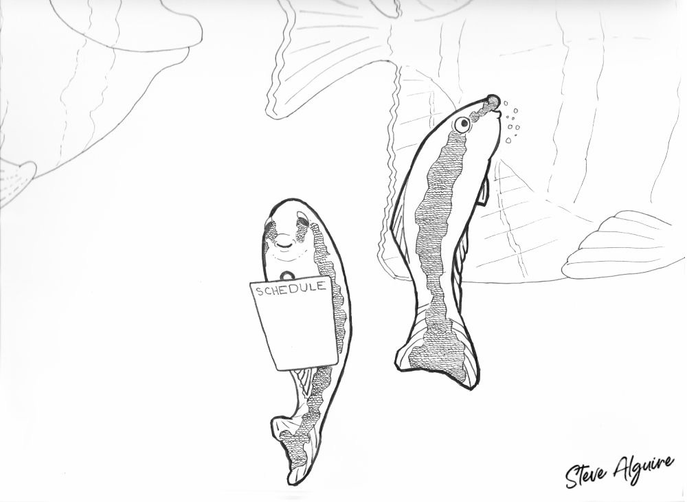 Ink drawing. One small fish checks a clipboard labelled schedule while another nibbles on the side of a larger fish who's in a line of fish.