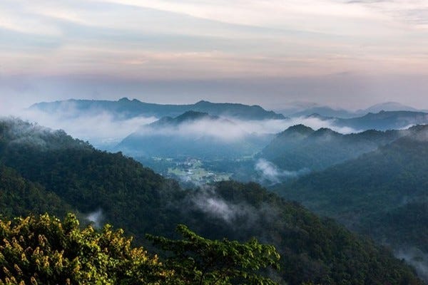 Khao Yai National Park | © SITTITAP LEANGRUGSA